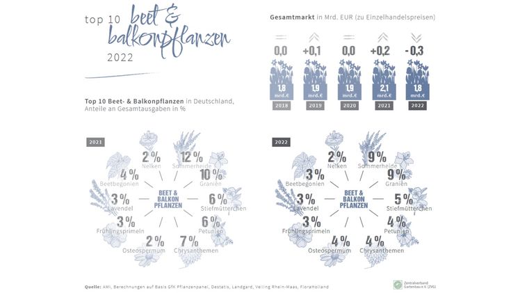 TOP 10 – Beet- und Balkonpflanzen 2022. Grafik: ZVG auf Basis AMI.
