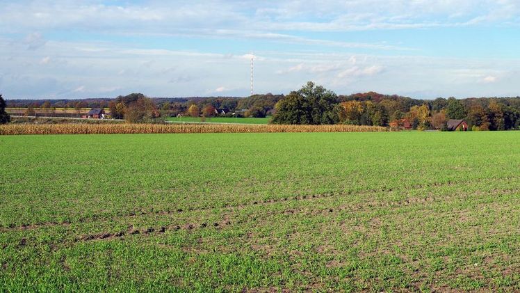 Landwirte müssen einen bestimmten Anteil an Biodiversitätsflächen anlegen. Bild: GABOT.