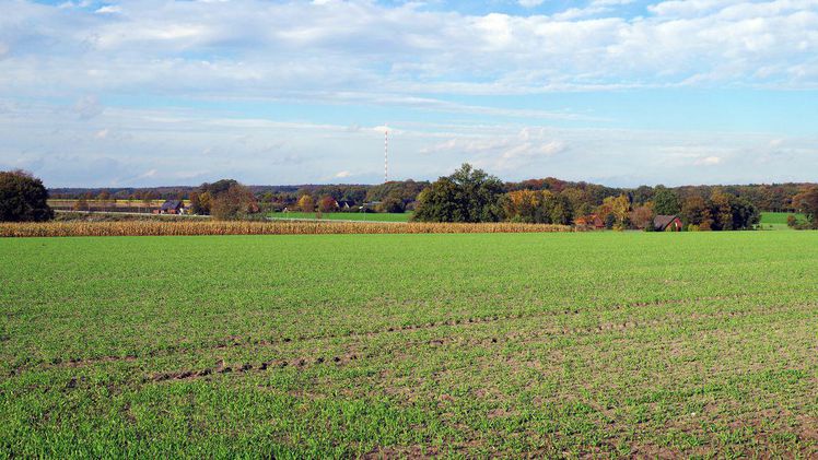 Mit Hilfe von Copernikus-Satellitendaten werden alle landwirtschaftlichen Flächen in Deutschland in regelmäßigen Abständen automatisiert überprüft. Bild: GABOT.