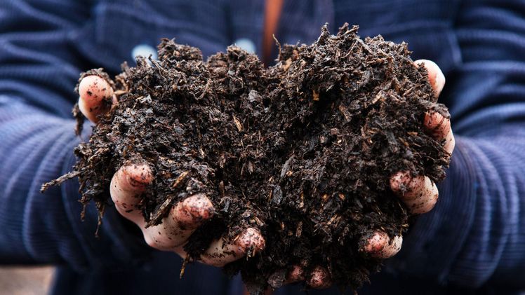 Die Rinde für die Herstellung von TerrAktiv Rindenhumus stammt aus Sägewerken. Bild: Klasmann-Deilmann.