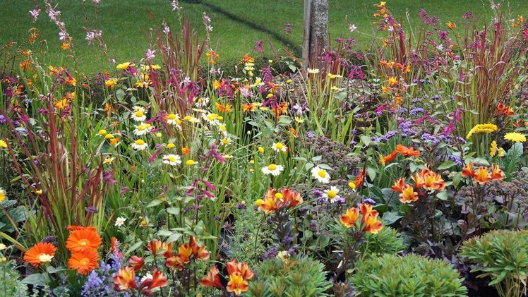 Die Studie „Garten im Wandel – Insights für die grüne Branche 2026“ wurde vom Marktforschungsinstitut INNOFACT AG durchgeführt und untersucht darüber hinaus weitere Entwicklungen rund um Konsumverhalten, Nachhaltigkeit und Beratung im Gartenmarkt. Bild: GABOT.