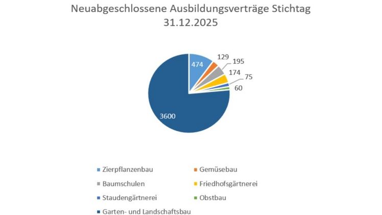Entwicklung der neu abgeschlossenen Ausbildungsverhältnisse zum Stichtag 31. Dezember 2025. Quelle: ZVG nach Statistischem Bericht Berufsbildungsstatistik.