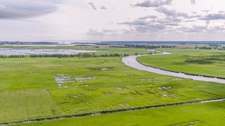 Wiedervernässte Moore im Peenetal in Mecklenburg-Vorpommern. Bild: Stephan Busse.