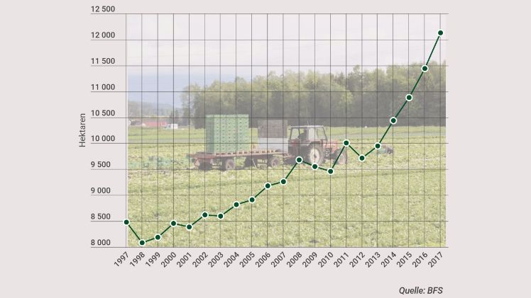 Gemüse-Produktion legt zu. Quelle: BFS, Grafik: lid.ch.