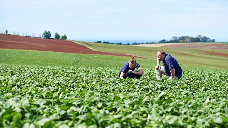 Nufarm Limited ist ein führender Entwickler und Hersteller von Pflanzenschutzlösungen und Saatguttechnologien. Bild: Nufarm.