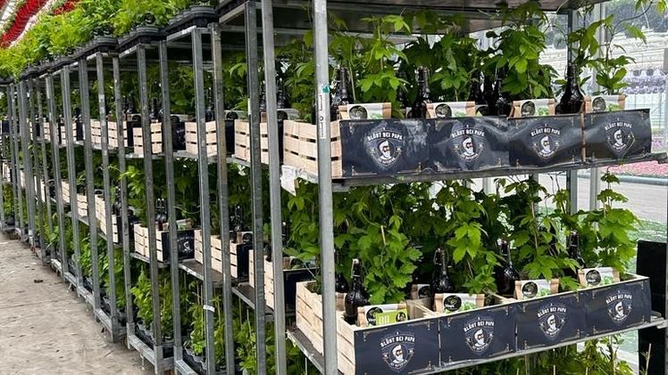 Auslieferung des Konzeptes bei Gärtnerei Filla. Bild: RiPlant/Filla. Auslieferung des Konzeptes bei Gärtnerei Filla. Bild: RiPlant/Filla.