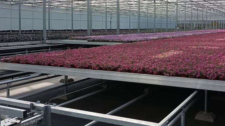 HAWE feiert 65-jähriges Jubiläum. Bild: HAWE.