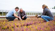 Verlässlich vor Ort: Die Mitarbeitenden der Gartenbau-Versicherung unterstützen Mitgliedsbetriebe auch bei der Risikoprävention. Bild: © Gartenbau-Versicherung 2026.