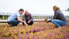 Verlässlich vor Ort: Die Mitarbeitenden der Gartenbau-Versicherung unterstützen Mitgliedsbetriebe auch bei der Risikoprävention. Bild: © Gartenbau-Versicherung 2026.