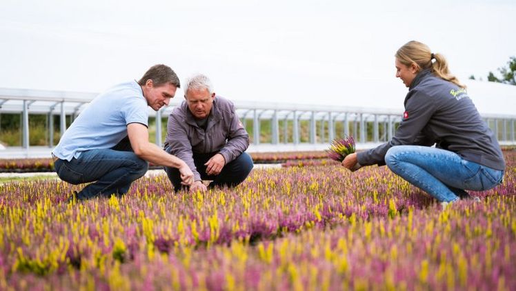 Verlässlich vor Ort: Die Mitarbeitenden der Gartenbau-Versicherung unterstützen Mitgliedsbetriebe auch bei der Risikoprävention. Bild: © Gartenbau-Versicherung 2026.