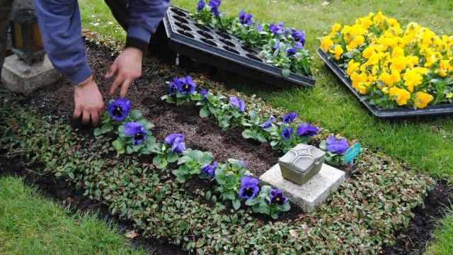 Ganz nach Kundenwunsch werden die Grabstätten, die von Friedhofsgärtnern betreut werden schlicht oder auch außergewöhnlich gestaltet. Bild: TBF.