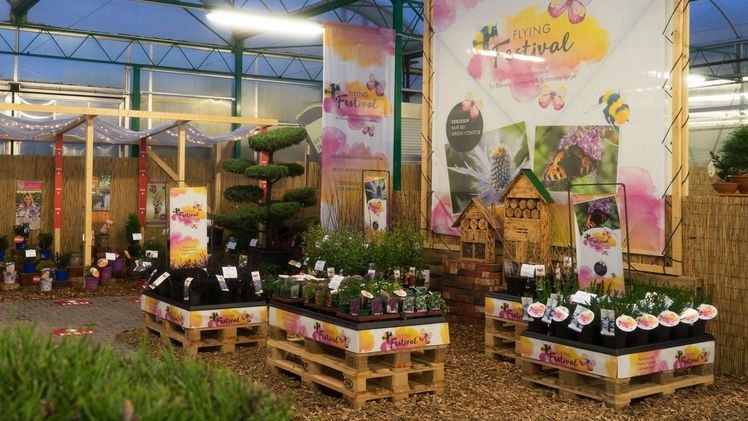 Das Konzept Flying Festival® umfasst Pflanzen, die allesamt als wichtige Nahrungsquelle für Bienen, Hummeln und Schmetterlinge sowie für andere nutzbringende Insekten dienen. Bild: Green Contor.