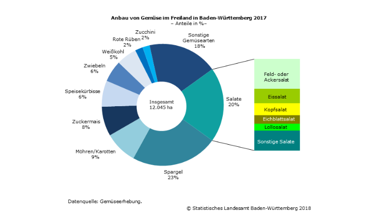 Anbau von Gemüse im Freiland in Baden-Württemberg 2017. Grafik: Statistisches Landesamt Baden-Württemberg.