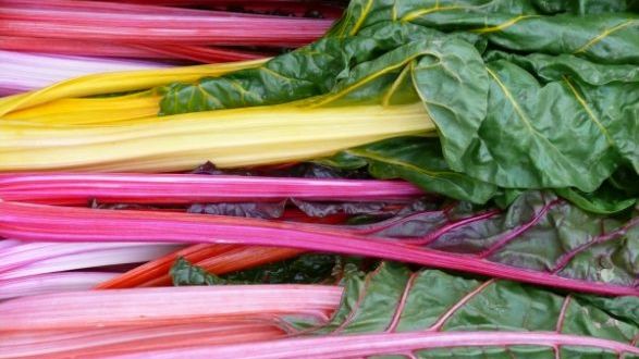 Mangold kann sehr vielseitig verwendet werden. Bild: Sabine Weis.