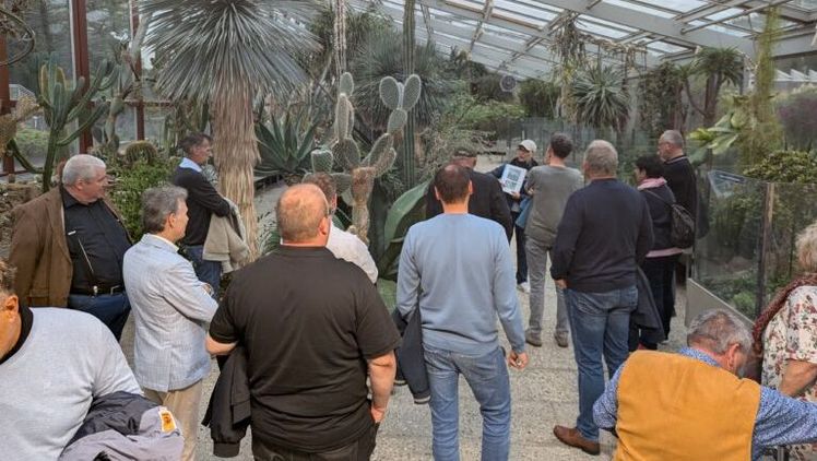 Auf Erkundungstour im Sukkulentenhaus im Berggarten. Bild: BdF.