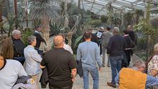 Auf Erkundungstour im Sukkulentenhaus im Berggarten. Bild: BdF.