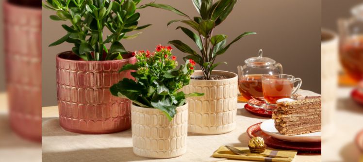 Glamour - Glanzpunkte im Winter-Ambiente. Bild: Scheurich.