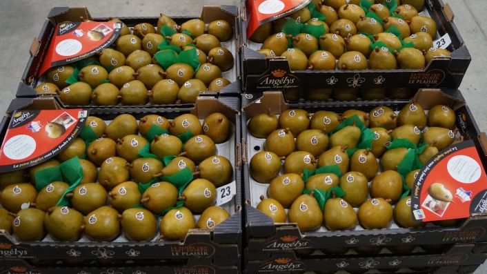 Das Land Rheinland-Pfalz hat für Erzeugerorganisationen im Obstbau den Mindestwert für die vermarktete Ware von 10 auf 5 Mio. Euro herabgesetzt. Bild: GABOT.