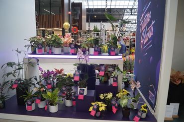 Future Plants by Waterdrinker in Aalsmeer. Bild: GABOT.