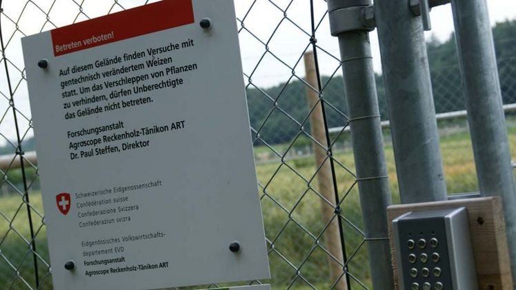 Gentech auf Bewährung. Bild: lid.ch.