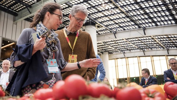 Der Global Tomato Congress bietet Einblicke in die Verbraucherwelt. Bild: Global Tomato Congress.