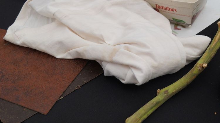 Produkte aus Tomatenstengeln. Bild: GABOT.