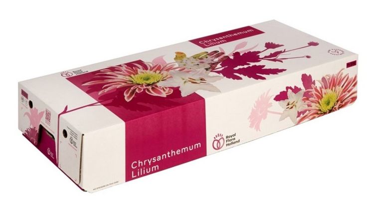 Der Fc519-Schnittblumenkarton wird durch den Fc520 abgelöst. Bild: Veiling Rhein-Maas.