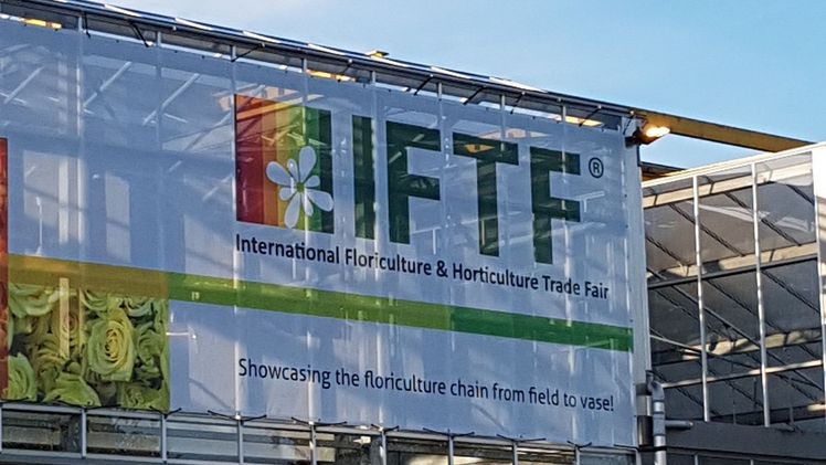 Die IFTF öffnet im November dieses Jahres zum 10. Mal ihre Türen. Bild: GABOT.