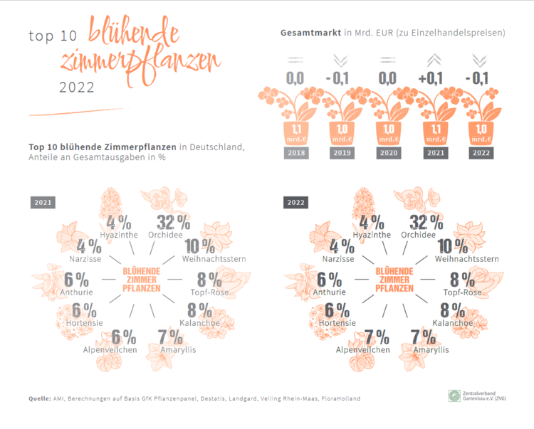 TOP 10 – blühende Zimmerpflanzen 2022. Grafik: ZVG auf Basis AMI. TOP 10 – blühende Zimmerpflanzen 2022. Grafik: ZVG auf Basis AMI.