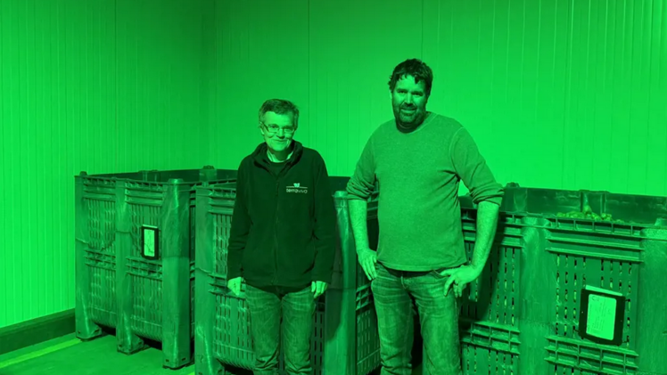 Martin Koller und Juha Pfister in einer grün beleuchteten Kühlzelle der Terraviva AG, wo unter anderem Kartoffeln zwischengelagert werden, bevor sie ausgeliefert werden. Bild: rho.
