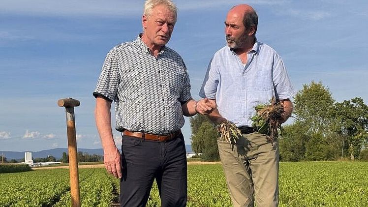 Bundeslandwirtschaftsminister Alois Rainer informiert sich im Gespräch mit Dr. Fred Eickmeyer (ESKUSA GmbH) über die Potentiale der Gewinnung von Naturkautschuk aus russischem Löwenzahn (v.l. Alois Rainer, Dr. Fred Eickmeyer). Bild: FNR/Andreas Schütte.