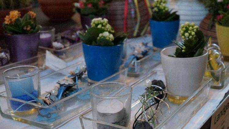 Einschleichdiebstahl in Gärtnerei. Bild: GABOT.