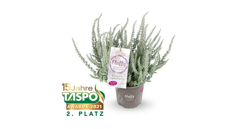 Die Samtheide Fluffy von Gardengirls belegt den 2. Platz bei den Taspo Awards 2021. Bild: Gardengirls.