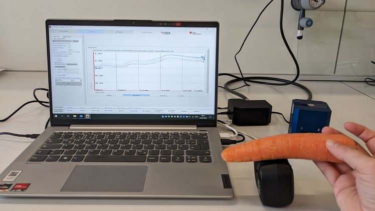Bestimmung von Qualitätsparametern bei Karotten mit einem handgeführten NIR-Spektrometer. Bild: Hochschule Weihenstephan-Triesdorf.