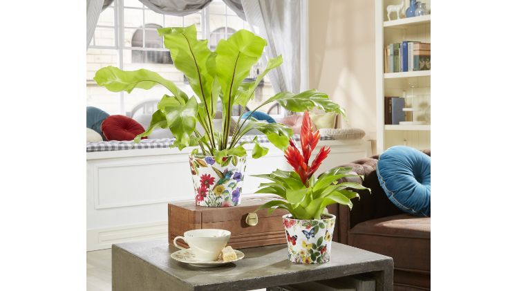 Wer gerne Farben und Muster mixt, wird diese opulenten Designs lieben. Bild: Scheurich.