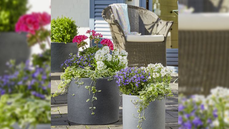 Riva - Angesagter Betonlook. Bild: Scheurich.