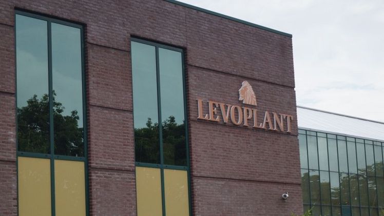 Levoplant nimmt die Cybersicherheit sehr ernst. Bild: GABOT.