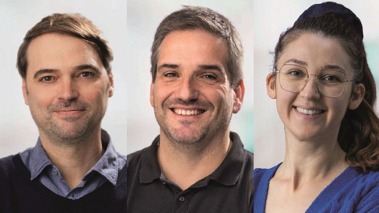 Prof Dr. Kleine-Vehne, Prof. Dr. Ott, Dr. Maric. Bilder: Jürgen Gocke, Michal Rössler, Universität Freiburg.