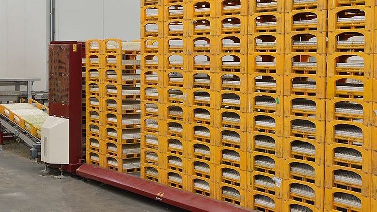 Mit dem Kauf dieser Maschine investiert Beekenkamp weiter in die Automatisierung des Unternehmens und setzt sein Wachstum für die Zukunft fort. Bild: Beekenkamp.