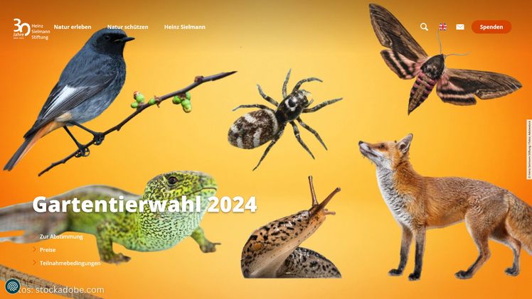 Website der Gartentierwahl 2024. Screenshot: GABOT.