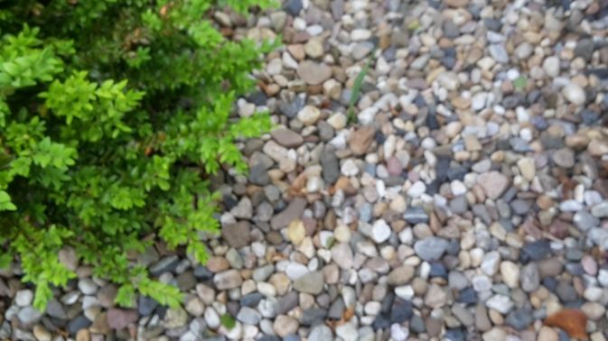 Stein-Garten: Ein trauriger Trend. Bild: GABOT. Stein-Garten: Ein trauriger Trend. Bild: GABOT.