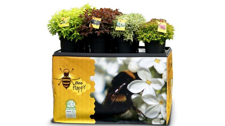 Marke und Ware perfekt ins Licht gerückt: Baumschule zu Jeddeloh Pflanzen präsentierte auf der spoga+gafa ganz besondere Verkaufsstische bestehend aus Europaletten, bedruckter Husse und passendem Metallaufsteller zu den neuen Verkaufsthemen. Bild: zu Jeddeloh.