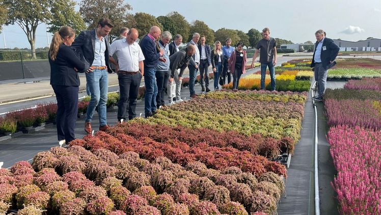 Besichtigung von Europlant Canders. Bild: Fleuroselect.