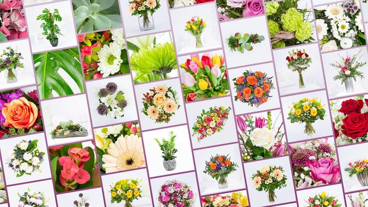 ALZURA FLOWERS mit spezieller Fotodatenbank für Floristen. Bild: ALZURA FLOWERS.