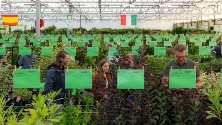 GROEN-Direkt Herbstmesse. Bild: © Rolf van Koppen fotografie.