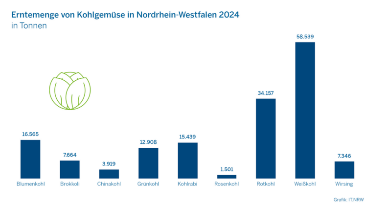 Spargel, Karotten und Speisezwiebeln sind die anbaustärksten Gemüsearten. Bild: IT.NRW.
