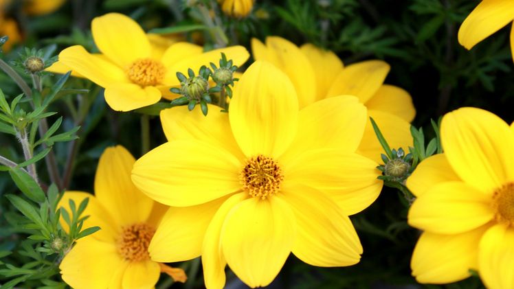 Neuer Vorstand im Kuratorium der Ernst-Schröder-Stiftung. Bild: GABOT.