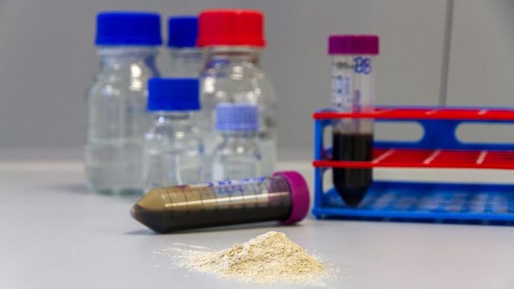 Aus nährstoffreichen Reststoffen wie Abwasser, Gülle und Gärresten kann Phosphor in Form von Phosphatsalzen zurückgewonnen werden. Bild: Fraunhofer IGB.