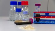 Aus nährstoffreichen Reststoffen wie Abwasser, Gülle und Gärresten kann Phosphor in Form von Phosphatsalzen zurückgewonnen werden. Bild: Fraunhofer IGB.