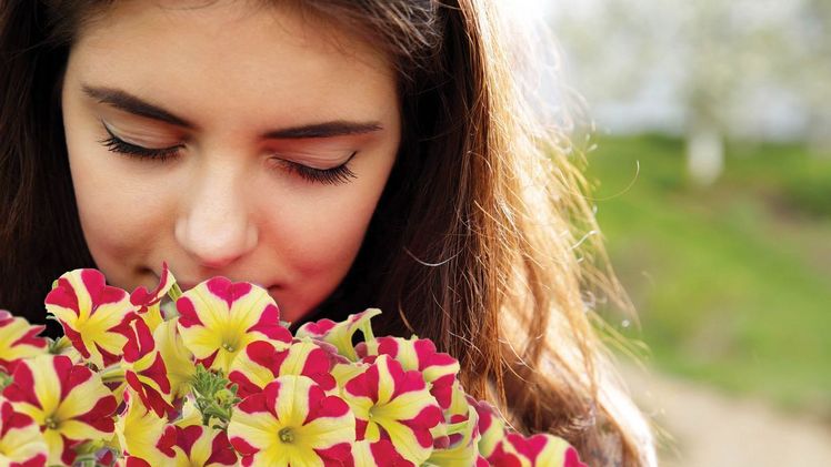 Der Tag der offenen Gärtnerei